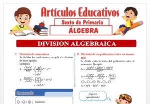 División Algebraica para Sexto de Primaria