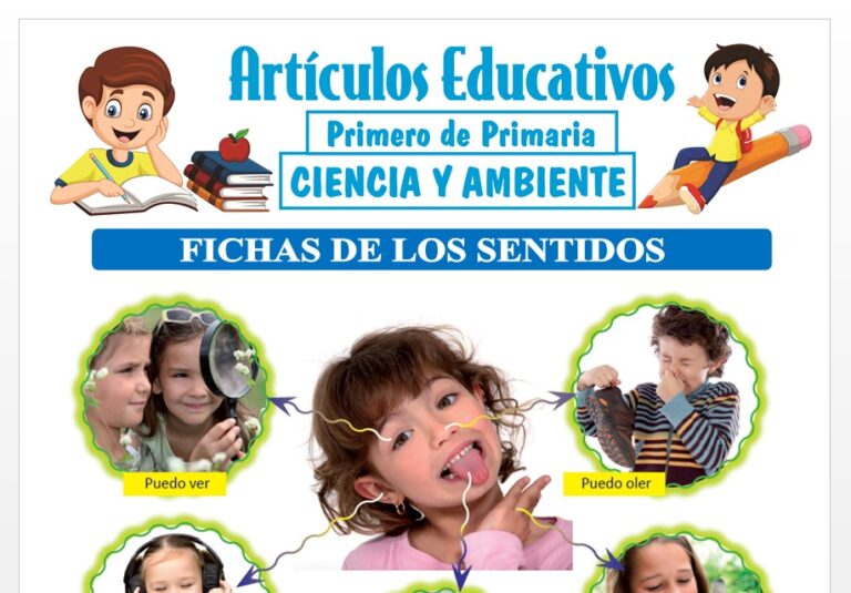 Fichas de Los Sentidos para Primero de Primaria — Articulos Educativos
