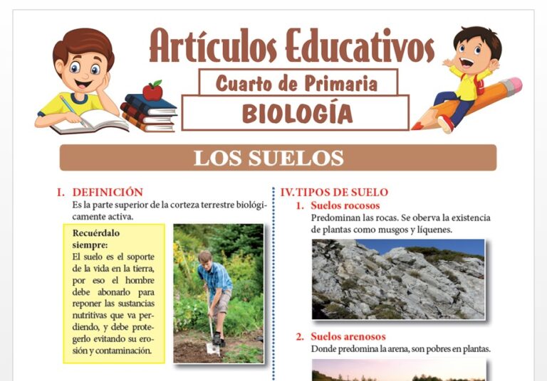 Los Suelos para Cuarto de Primaria — Articulos Educativos